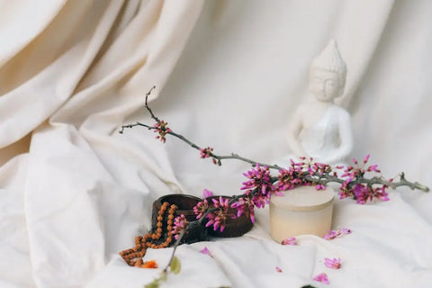 8 Reasons to Consider a Holistic Wellness Lifestyle